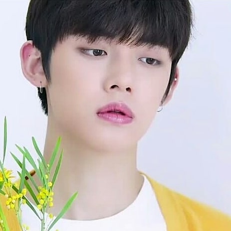 TXT Tomorrow X Together Members Profile Height Weight, Bio, Age Facts